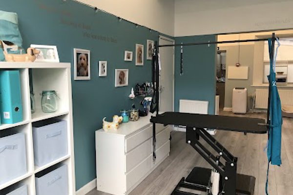 Photo associated with Scissorhounds Dog Grooming