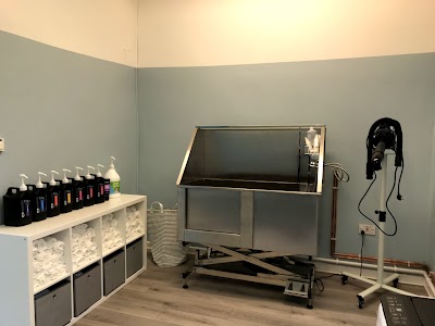 Photo associated with Scissorhounds Dog Grooming