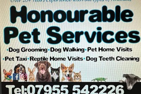 Photo associated with Honourable Pet Services