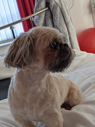 Photo associated with Dial a Dog Wash Lanarkshire