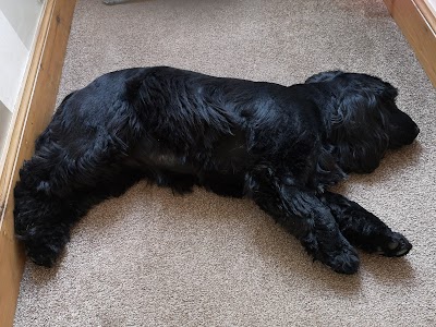 Photo associated with Hound-Ed