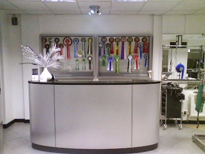 Photo associated with K9 Grooming Studio