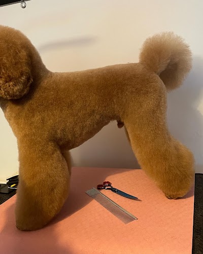 Photo associated with Jax&Co Professional Dog Grooming