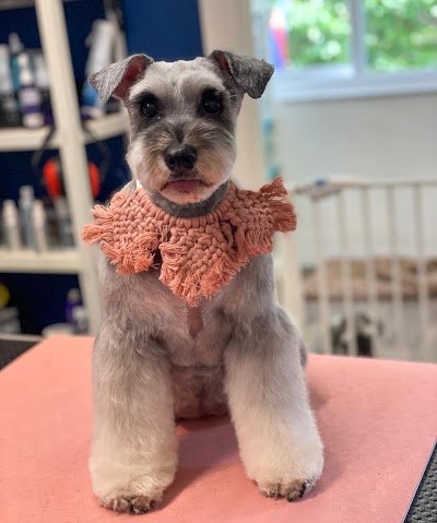 Photo associated with Jax&Co Professional Dog Grooming