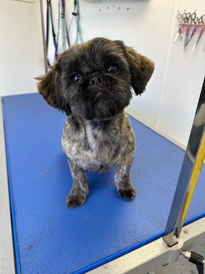 Photo associated with Toby's Tail Ltd