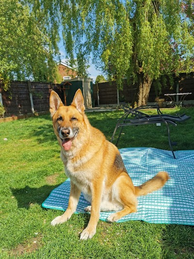 Photo associated with Nails and Tails - Dog Grooming Salon