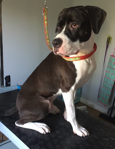 Photo associated with Happy Paws Dog Grooming, St Helens, Merseyside