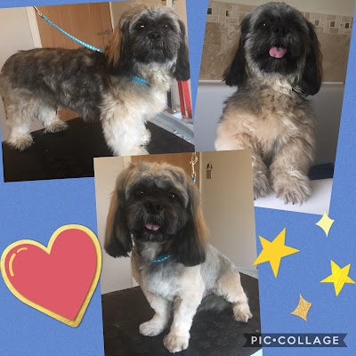 Photo associated with Happy Paws Dog Grooming, St Helens, Merseyside