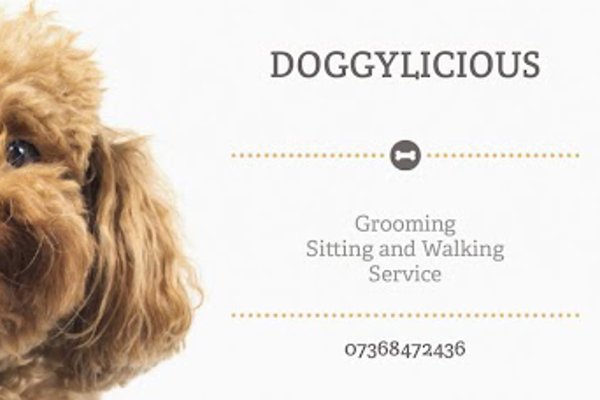 Photo associated with Doggylicious Dog Groomers