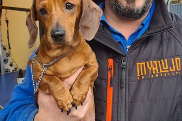 Photo associated with Myalujo k9 Services Ltd