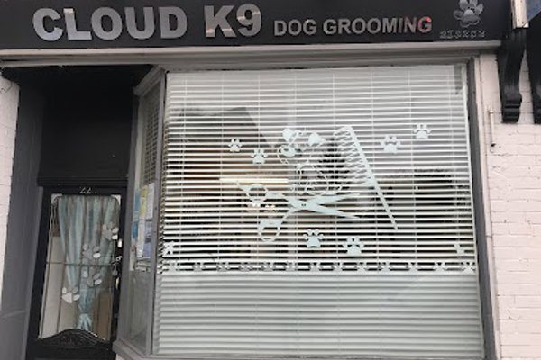 Photo associated with Cloud K9 Dog Grooming