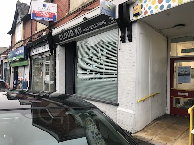 Photo associated with Cloud K9 Dog Grooming