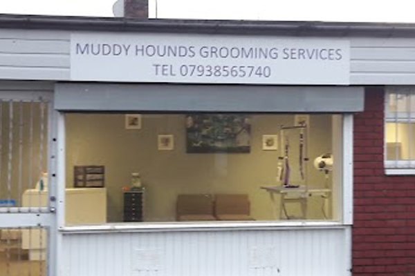 Photo associated with Muddy hounds grooming services