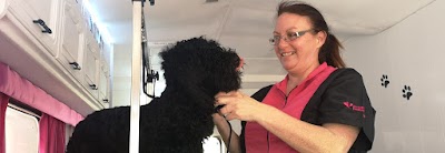 Photo associated with Precious Pampered Pooches