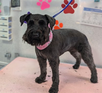 Photo associated with Lou's Pawfect Groom