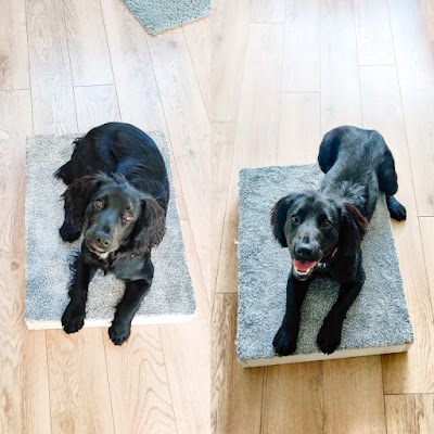 Photo associated with Ruff to Fluff Grooming