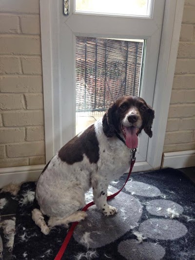 Photo associated with Pugs and Kisses Professional Dog Groomers