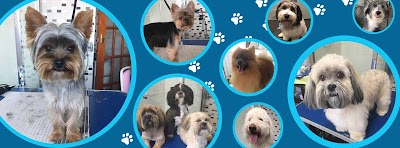 Photo associated with Eliza's Dog Grooming