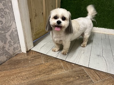 Photo associated with Super Grooms Dog Grooming Yoker