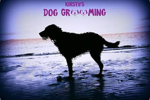 Photo associated with Kirsty's Dog Grooming