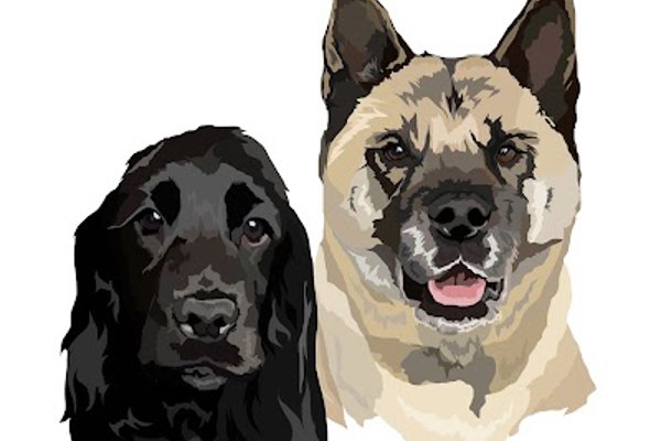 Photo associated with Fraser&pooch dog groomers liverpool