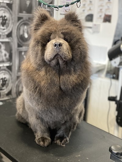 Photo associated with Fraser&pooch dog groomers liverpool
