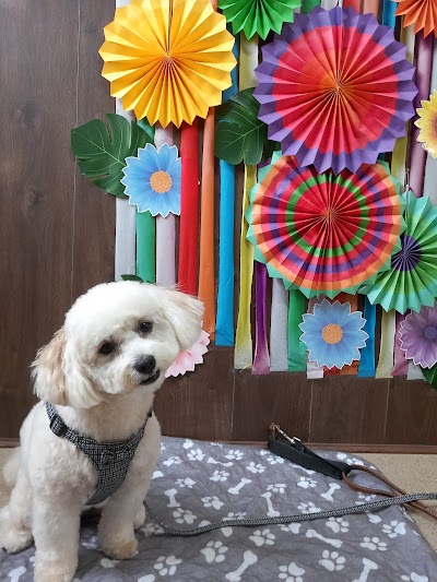 Photo associated with Pup Paws Grooming Studio