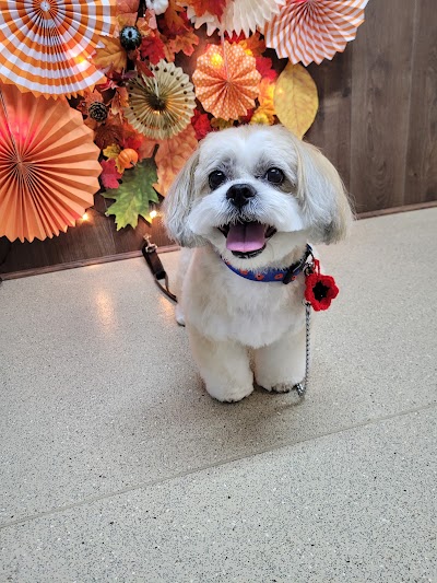 Photo associated with Pup Paws Grooming Studio