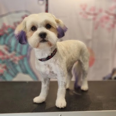 Photo associated with Phoenix Dog & Cat Grooming Ltd