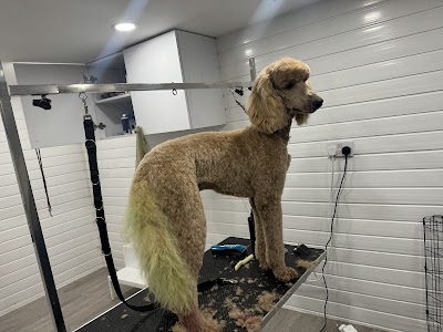 Photo associated with Peticure Dog Grooming