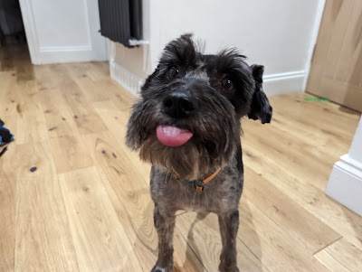 Photo associated with Peticure Dog Grooming
