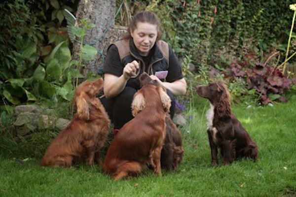 Photo associated with Forest East Dog Grooming