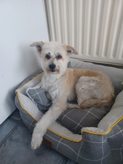 Photo associated with Forest East Dog Grooming
