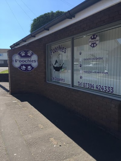 Photo associated with Poochies Dog Grooming Cardiff