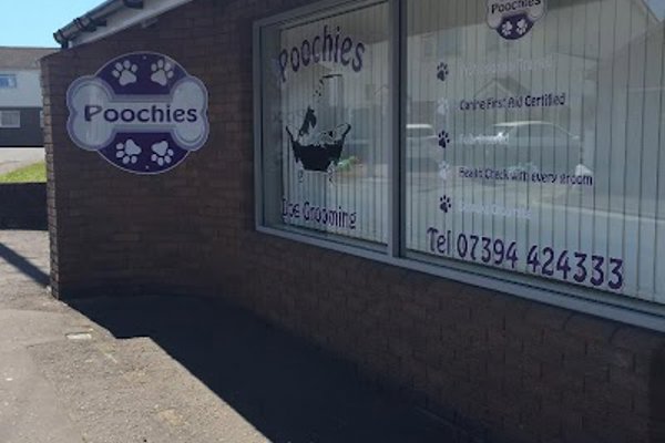 Photo associated with Poochies Dog Grooming Cardiff