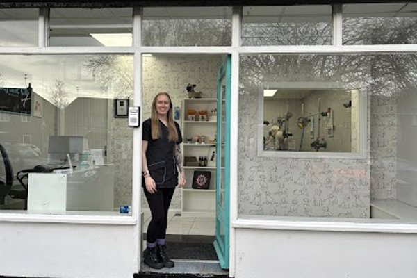 Photo associated with Canine Co. Dog Groomers & Training Academy