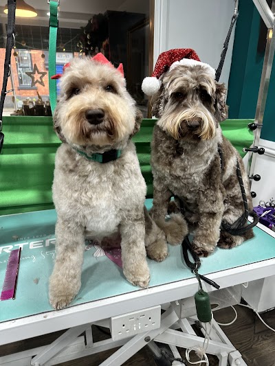 Photo associated with The Hound Dog Grooming Spa