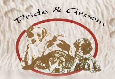 Photo associated with Pride & Groom