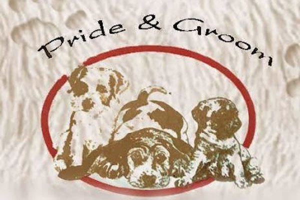 Photo associated with Pride & Groom