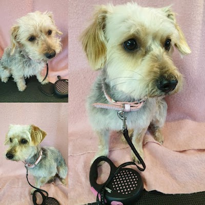Photo associated with Clipaway Dog Groomers