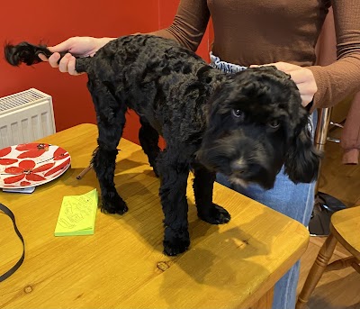 Photo associated with Clipaway Dog Groomers