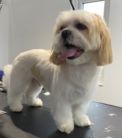 Photo associated with Dog Grooming on The Farm