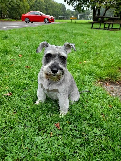 Photo associated with Dog Grooming on The Farm