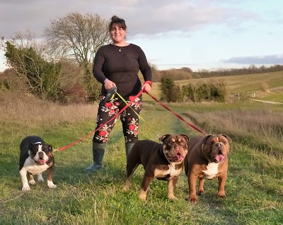 Photo associated with Dogaholics Pet Services