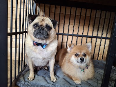 Photo associated with Lyde Green Pet Grooming