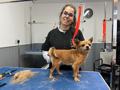 Photo associated with Lyde Green Pet Grooming
