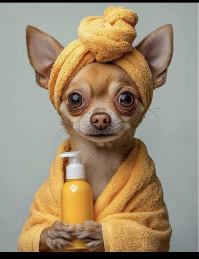 Photo associated with Lyde Green Pet Grooming