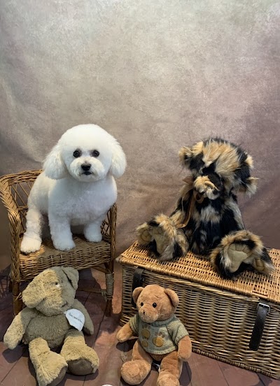 Photo associated with Koda's Kutz