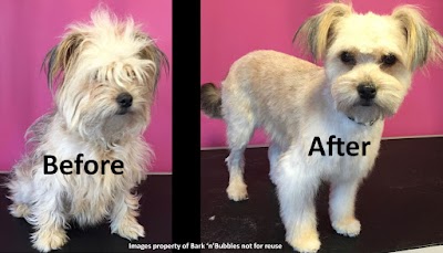 Photo associated with Bark 'n' Bubbles Professional Dog Grooming and Spa