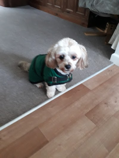 Photo associated with Langford Dog Groomers